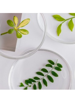 Активні інгредієнти