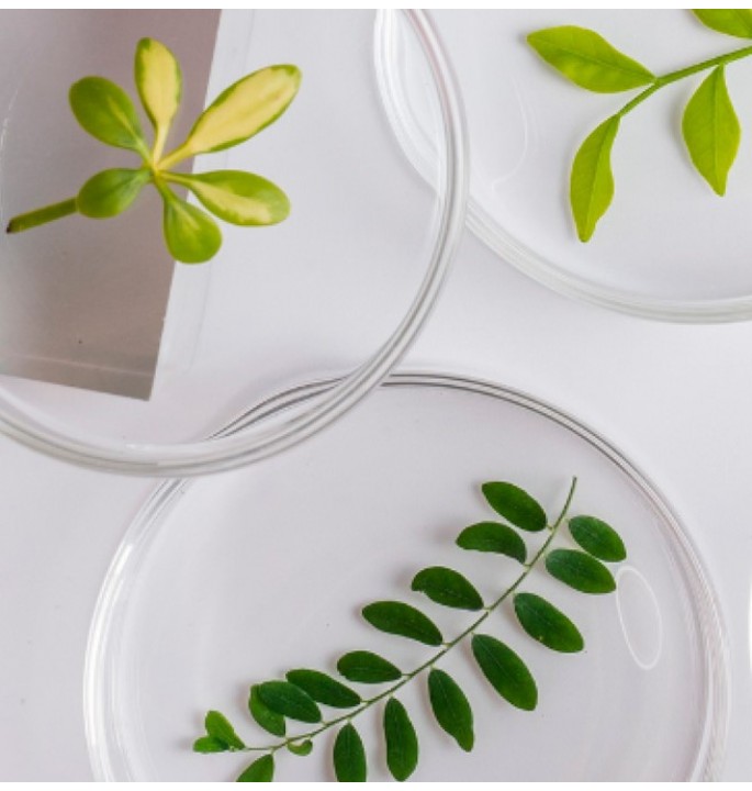 Активні інгредієнти